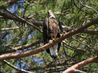 img_5032.jpg